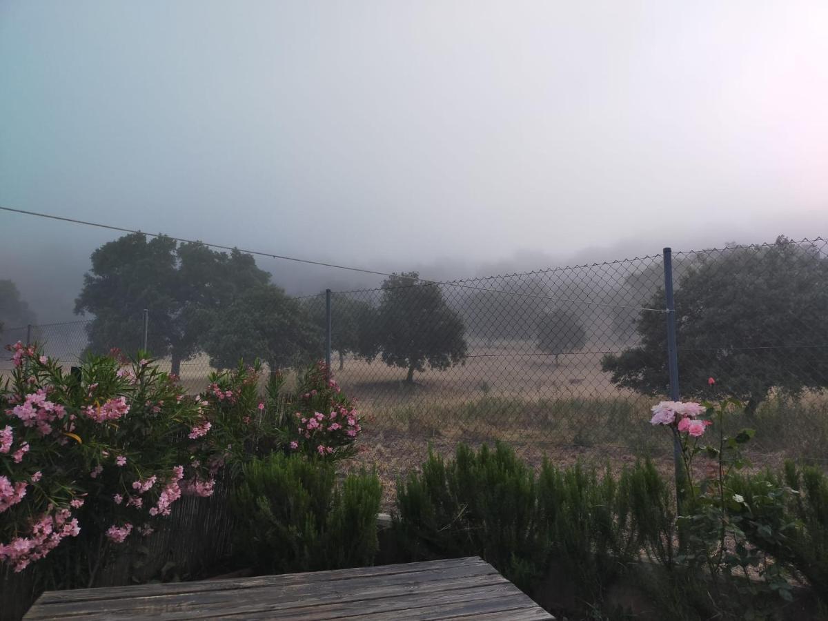 Casa Rural Nacimiento Del Hueznar - Tomillo 17 San Nicolás del Puerto Kültér fotó