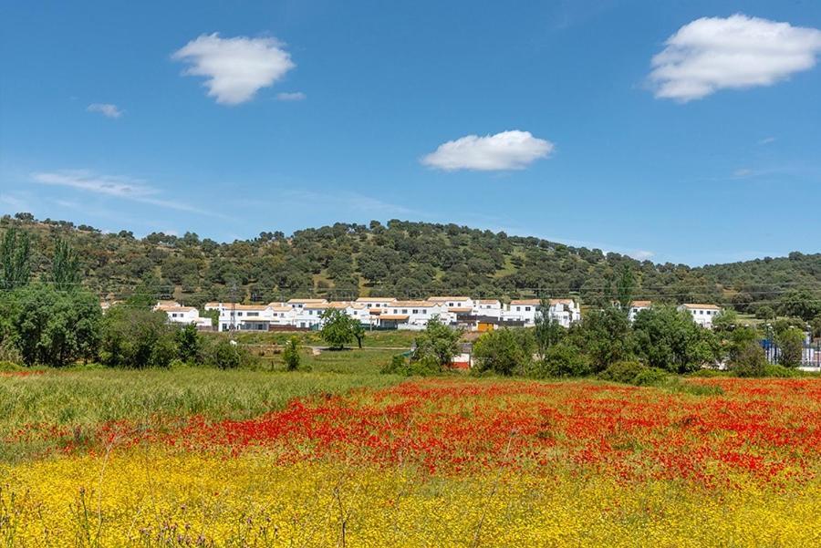 Casa Rural Nacimiento Del Hueznar - Tomillo 17 San Nicolás del Puerto Kültér fotó